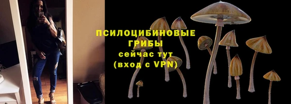прущая мука Волосово